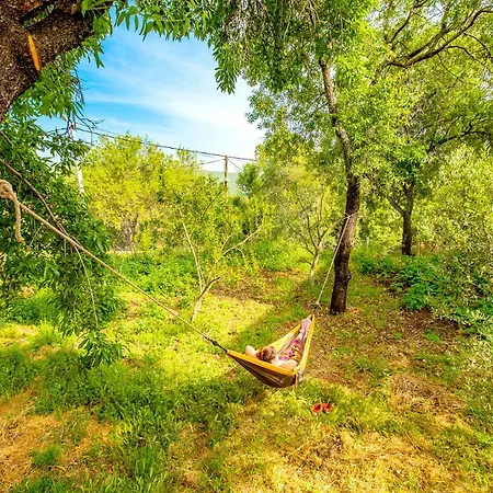 Begonvil Hébergement de vacances *